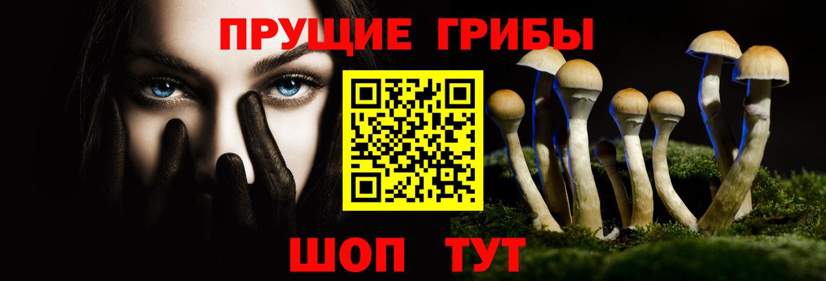 Псилоцибиновые грибы мицелий Лысьва